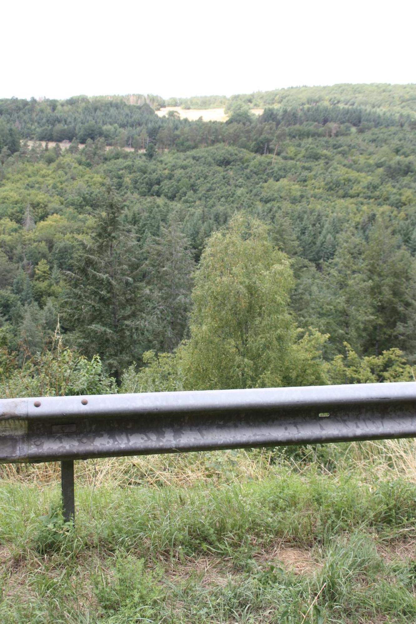 LiesenichHaus Buchholz公寓 外观 照片