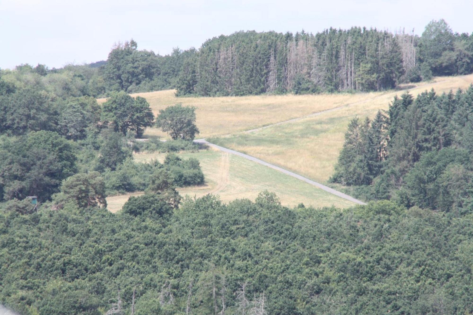 LiesenichHaus Buchholz公寓 外观 照片