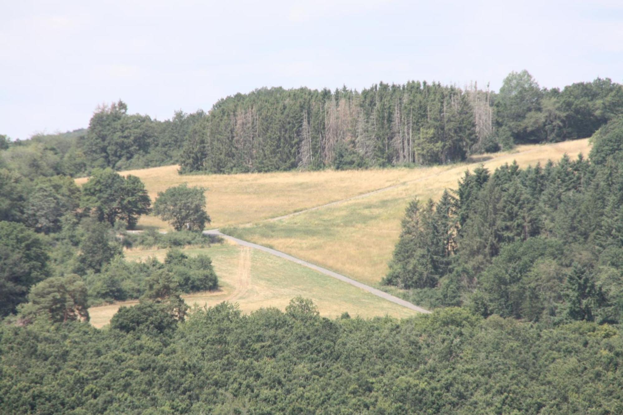 LiesenichHaus Buchholz公寓 外观 照片